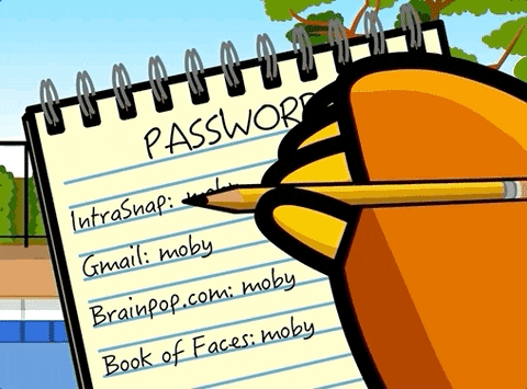 Password Vulnerabilities: How to Prevent Them from Happening?