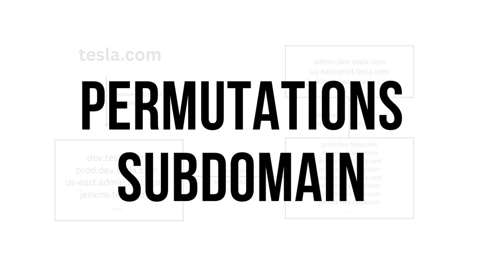 Guide to Permutations Subdomain Enumeration